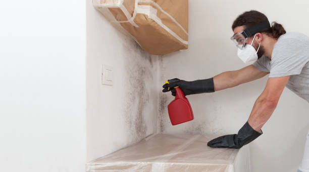Professional Mold Removal technician working in Bunnlevel, NC
